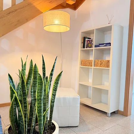 بيت للعطل Zezita's Place