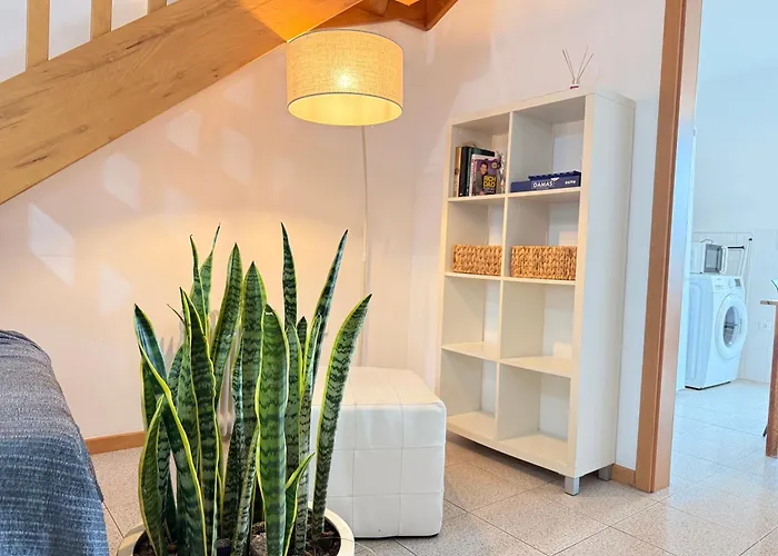 Vakantiehuis Zezita's Place